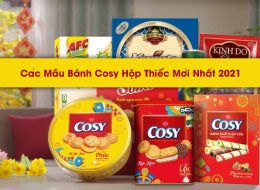 cac-mau-banh-cosy-hop-thiec-moi-nhat-2021